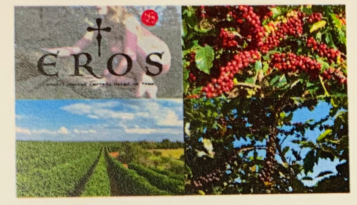 ブラジル サントス セラード ドライオントゥリーEROS